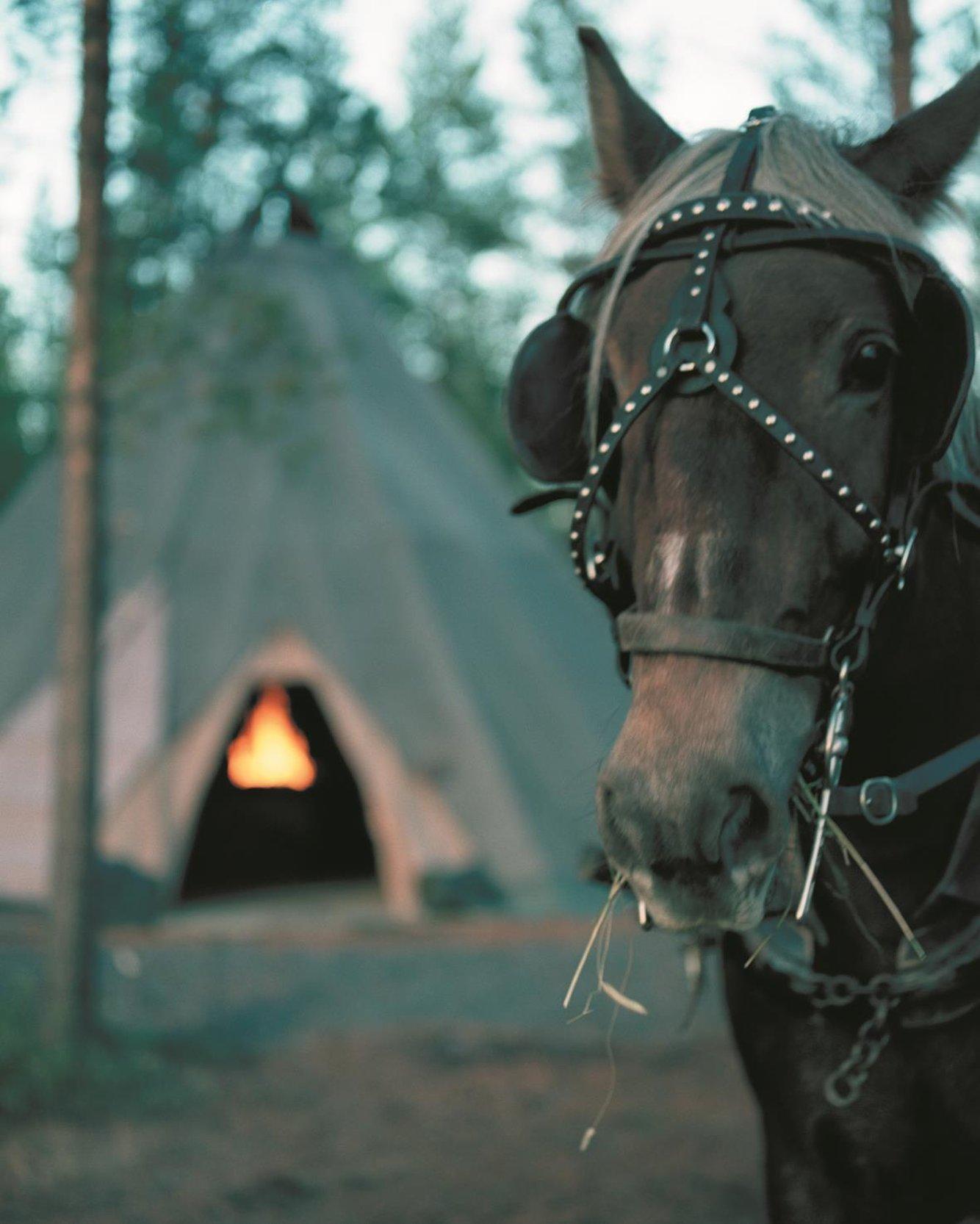Nordkalotten Hotell & Konferens ลูเลโอ ภายนอก รูปภาพ